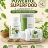 Moringo Phytoshine